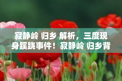 寂静岭 归乡 解析，三度现身蹊跷事件！寂静岭 归乡背后真相让人后背发凉