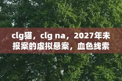 2027年未报案的虚拟悬案图片