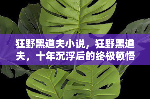 狂野黑道夫小说，狂野黑道夫，十年沉浮后的终极顿悟