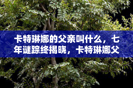 卡特琳娜父亲之谜竟成泪目绝响图片