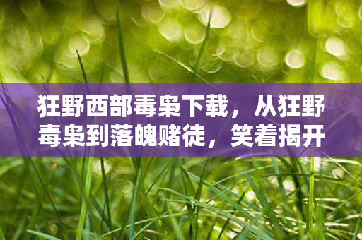 从狂野毒枭到落魄赌徒图片