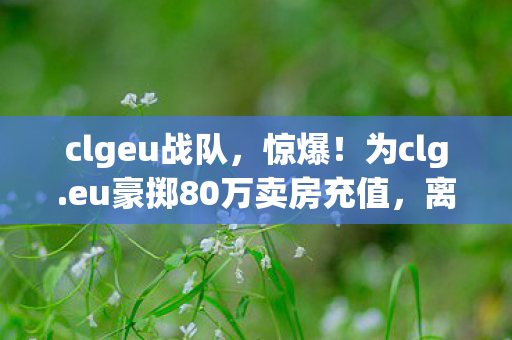 clgeu战队，惊爆！为clg.eu豪掷80万卖房充值，离婚协议背后藏惊人隐情！