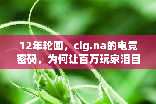 为何让百万玩家泪目图片