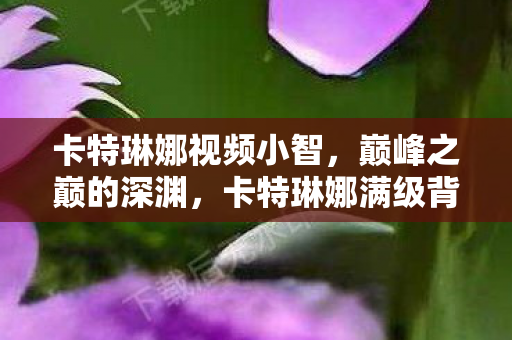 卡特琳娜视频小智，巅峰之巅的深渊，卡特琳娜满级背后，现实废墟的灵魂震颤