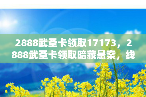 2888武圣卡领取17173图片