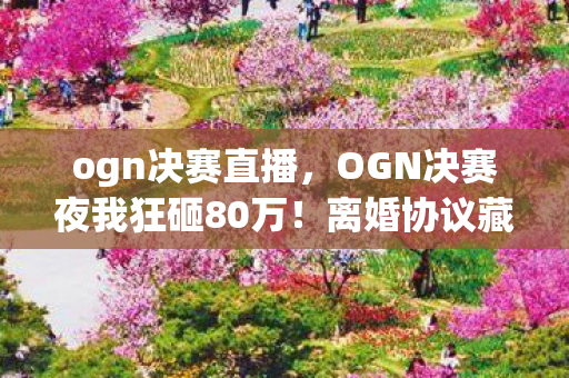 OGN决赛夜我狂砸80万图片
