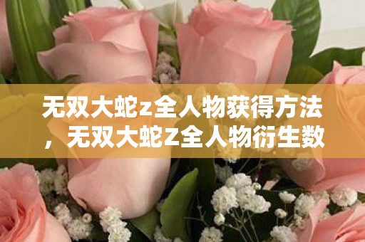 败家玩家用周边堆出意想不到人生图片