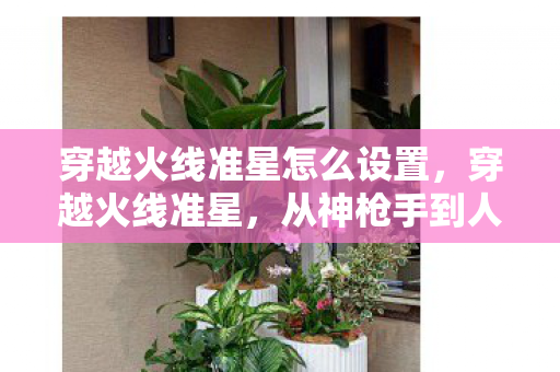 从神枪手到人体描边大师的落差真相图片