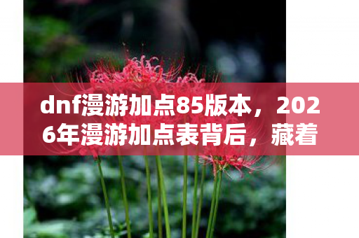 2026年漫游加点表背后图片