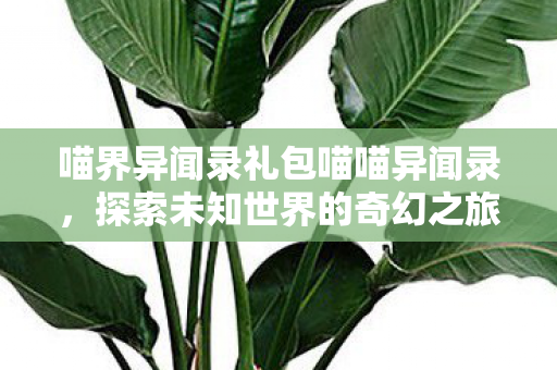 喵界异闻录礼包喵喵异闻录，探索未知世界的奇幻之旅，喵界异闻录，探索未知世界的奇幻冒险