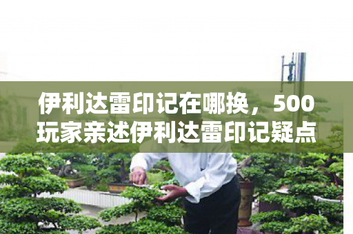 伊利达雷印记在哪换,500玩家亲述伊利达雷印记疑点,真相揭晓时全场绷不住了! 伊利达雷印记在哪换,500玩家亲述伊利达雷印记疑点,真相揭晓时全场绷不住了!