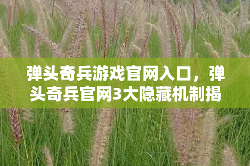 弹头奇兵官网3大隐藏机制揭秘图片
