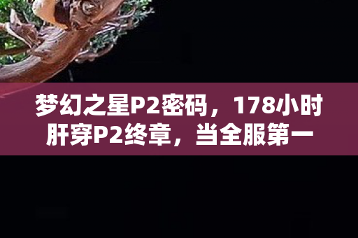 梦幻之星P2密码,178小时肝穿P2终章,当全服第一的刀尖抵住喉咙时,我按下了那个键…… 梦幻之星P2密码,178小时肝穿P2终章,当全服第一的刀尖抵住喉咙时,我按下了那个键……