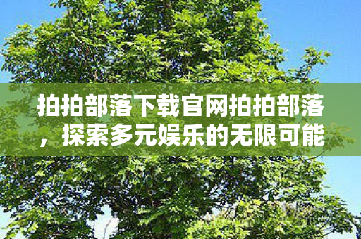 拍拍部落下载官网拍拍部落,探索多元娱乐的无限可能,探索多元娱乐,拍拍部落下载官网 拍拍部落下载官网拍拍部落,探索多元娱乐的无限可能,探索多元娱乐,拍拍部落下载官网