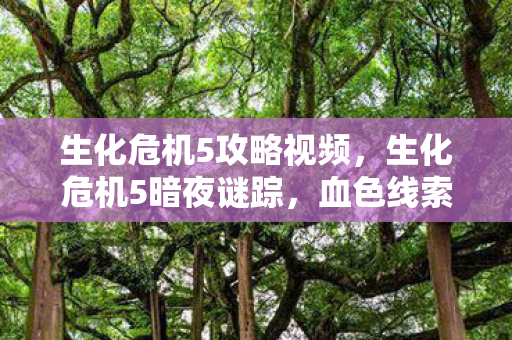 生化危机5攻略视频图片