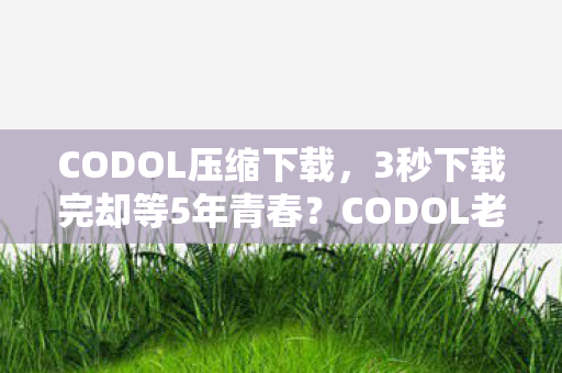 CODOL压缩下载,3秒下载完却等5年青春?CODOL老兵含泪揭秘,这数据包藏着多少人的遗憾 CODOL压缩下载,3秒下载完却等5年青春?CODOL老兵含泪揭秘,这数据包藏着多少人的遗憾