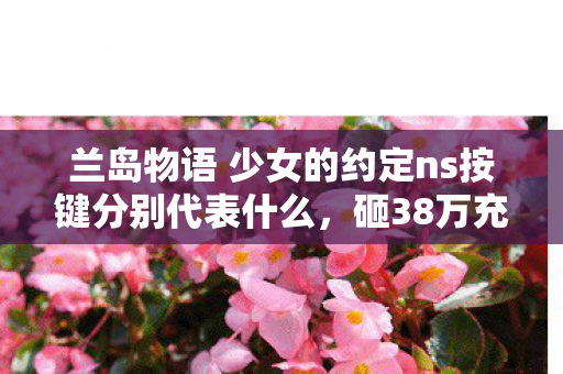 兰岛物语 少女的约定ns按键分别代表什么图片