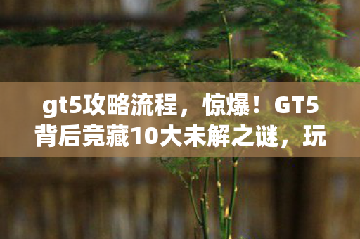 gt5攻略流程,惊爆!GT5背后竟藏10大未解之谜,玩家情感被狠狠拿捏! gt5攻略流程,惊爆!GT5背后竟藏10大未解之谜,玩家情感被狠狠拿捏!