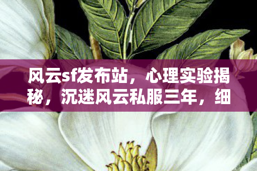 风云sf发布站,心理实验揭秘,沉迷风云私服三年,细思极恐的自我囚禁 风云sf发布站,心理实验揭秘,沉迷风云私服三年,细思极恐的自我囚禁