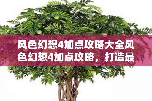 风色幻想4加点攻略大全风色幻想4加点攻略,打造最强角色,征服幻想世界,风色幻想4,打造最强角色,征服幻想世界的加点攻略 风色幻想4加点攻略大全风色幻想4加点攻略,打造最强角色,征服幻想世界,风色幻想4,打造最强角色,征服幻想世界的加点攻略