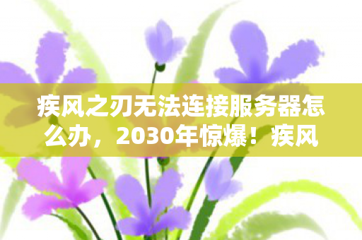 疾风之刃无法连接服务器怎么办，2030年惊爆！疾风之刃十年断连谜团，背后藏着什么震撼真相？