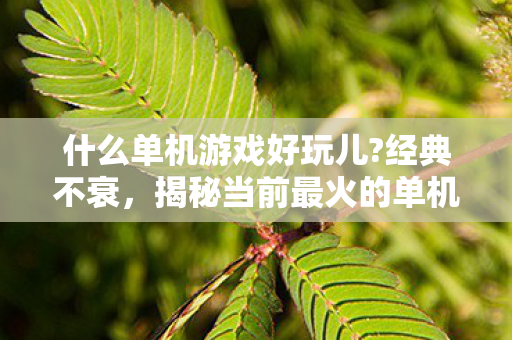 什么单机游戏好玩儿?经典不衰，揭秘当前最火的单机游戏，揭秘当前最火的经典不衰单机游戏