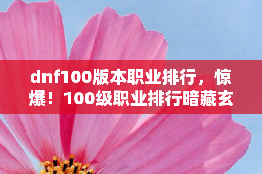 dnf100版本职业排行图片