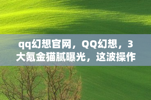 qq幻想官网，QQ幻想，3大氪金猫腻曝光，这波操作让人直呼上头又心碎！