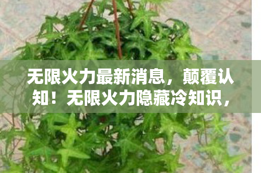 无限火力最新消息，颠覆认知！无限火力隐藏冷知识，这些设计竟让玩家目瞪口呆2027版