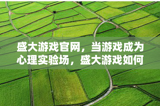 盛大游戏官网，当游戏成为心理实验场，盛大游戏如何用沉迷陷阱操控你的大脑回路？细思极恐！