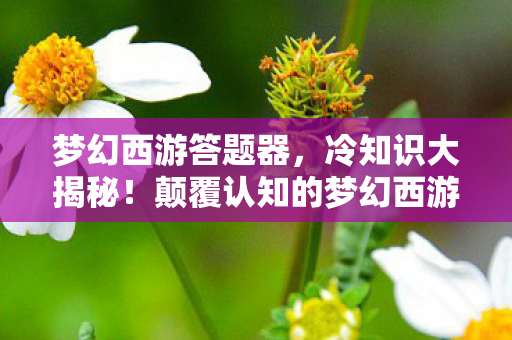 梦幻西游答题器，冷知识大揭秘！颠覆认知的梦幻西游设计，让你目瞪口呆！