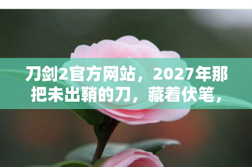 刀剑2官方网站，2027年那把未出鞘的刀，藏着伏笔，如今想起鼻子一酸
