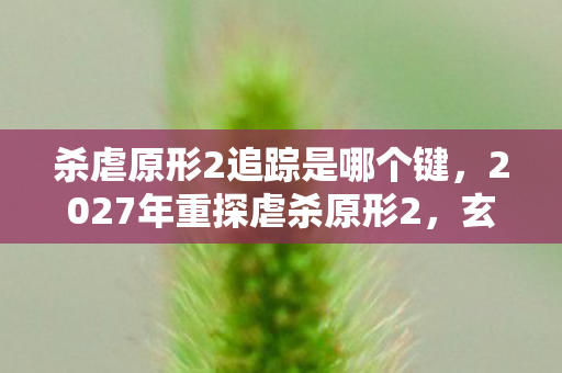 杀虐原形2追踪是哪个键,2027年重探虐杀原形2,玄机暗藏,沉默之下藏着何种人生隐喻? 杀虐原形2追踪是哪个键,2027年重探虐杀原形2,玄机暗藏,沉默之下藏着何种人生隐喻?