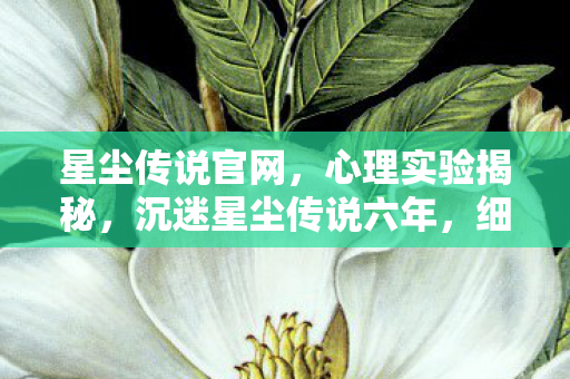 星尘传说官网，心理实验揭秘，沉迷星尘传说六年，细思极恐的自我麻醉