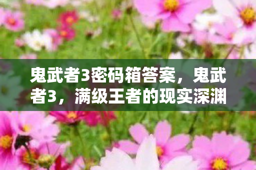 鬼武者3密码箱答案，鬼武者3，满级王者的现实深渊，灵魂震颤的层级悖论