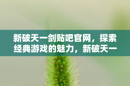 新破天一剑贴吧官网，探索经典游戏的魅力，新破天一剑贴吧官网，重温经典游戏，探索无限魅力