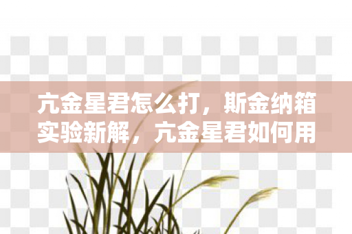亢金星君怎么打，斯金纳箱实验新解，亢金星君如何用沉迷陷阱让你细思极恐？