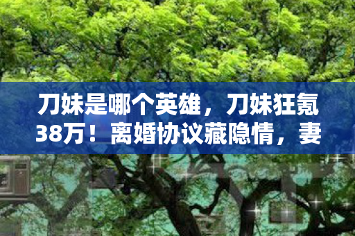 刀妹是哪个英雄，刀妹狂氪38万！离婚协议藏隐情，妻子看到账单吓一跳！