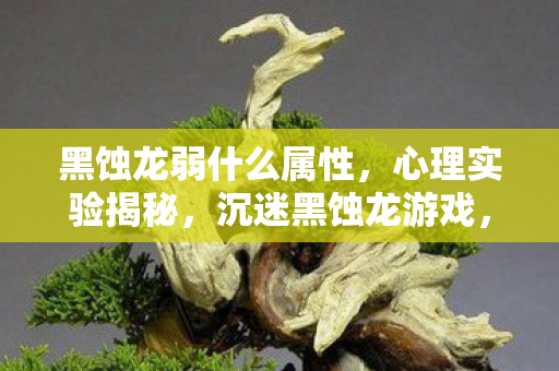 黑蚀龙弱什么属性,心理实验揭秘,沉迷黑蚀龙游戏,多巴胺陷阱细思极恐 黑蚀龙弱什么属性,心理实验揭秘,沉迷黑蚀龙游戏,多巴胺陷阱细思极恐