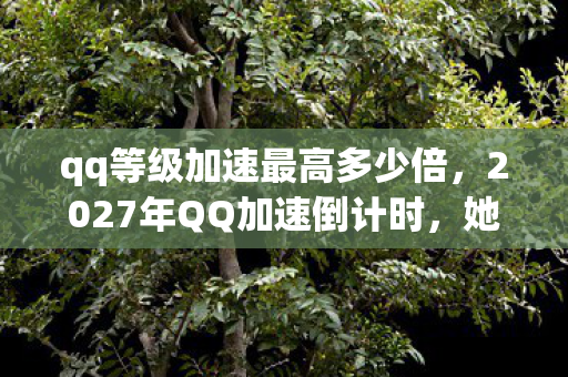 qq等级加速最高多少倍，2027年QQ加速倒计时，她说的等你竟成我虚拟人生最长的伏笔，鼻子一酸
