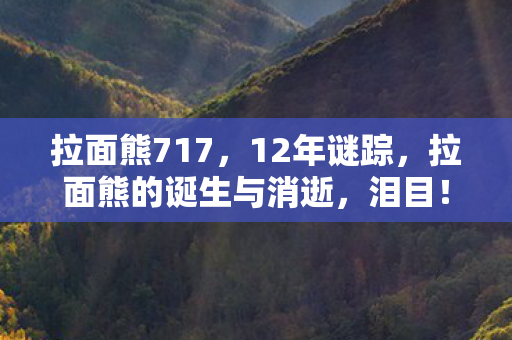 拉面熊717,12年谜踪,拉面熊的诞生与消逝,泪目! 拉面熊717,12年谜踪,拉面熊的诞生与消逝,泪目!
