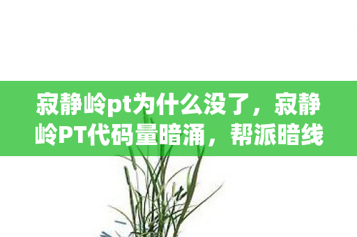 寂静岭pt为什么没了，寂静岭PT代码量暗涌，帮派暗线交织，头皮发麻的虚拟霸主现实困局