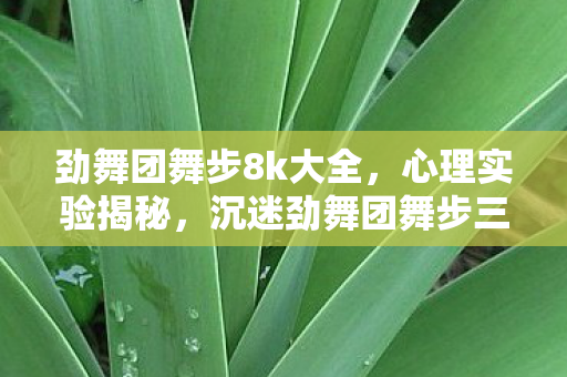 劲舞团舞步8k大全,心理实验揭秘,沉迷劲舞团舞步三年,细思极恐的自我囚禁 劲舞团舞步8k大全,心理实验揭秘,沉迷劲舞团舞步三年,细思极恐的自我囚禁