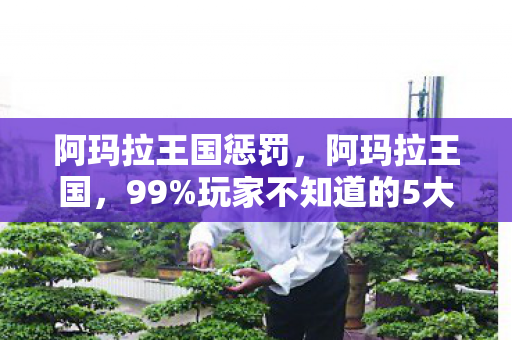 阿玛拉王国惩罚，阿玛拉王国，99%玩家不知道的5大氪金猫腻，上头到想摔手机！