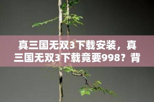 真三国无双3下载安装，真三国无双3下载竟要998？背后隐情曝光，真相让人吓一跳！