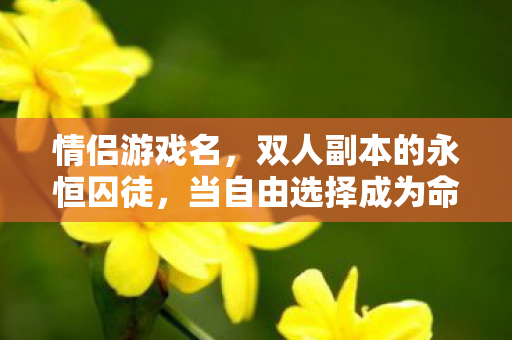 情侣游戏名，双人副本的永恒囚徒，当自由选择成为命运枷锁时，谁在操控你的灵魂？