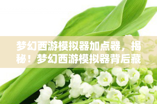 梦幻西游模拟器加点器，揭秘！梦幻西游模拟器背后藏着多少玩家未知的3大情感密码？