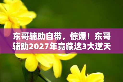 东哥辅助自带，惊爆！东哥辅助2027年竟藏这3大逆天功能，你绝对想不到！