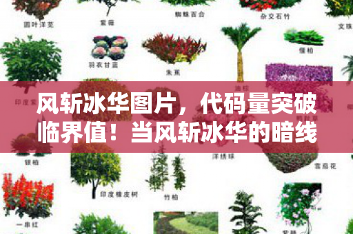 风斩冰华图片,代码量突破临界值!当风斩冰华的暗线触发时,我的头皮开始量子坍缩 风斩冰华图片,代码量突破临界值!当风斩冰华的暗线触发时,我的头皮开始量子坍缩