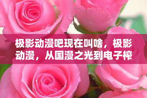 极影动漫吧现在叫啥,极影动漫,从国漫之光到电子榨菜的落差真相,笑着笑着就哭了 极影动漫吧现在叫啥,极影动漫,从国漫之光到电子榨菜的落差真相,笑着笑着就哭了